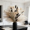 Black Bunny Tails Bouquet 60Pcs with Ivory Pampas Grass 17"