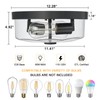 Luminzone Flush Mount Ceiling Light with Clear Glass Shade, 2-Light