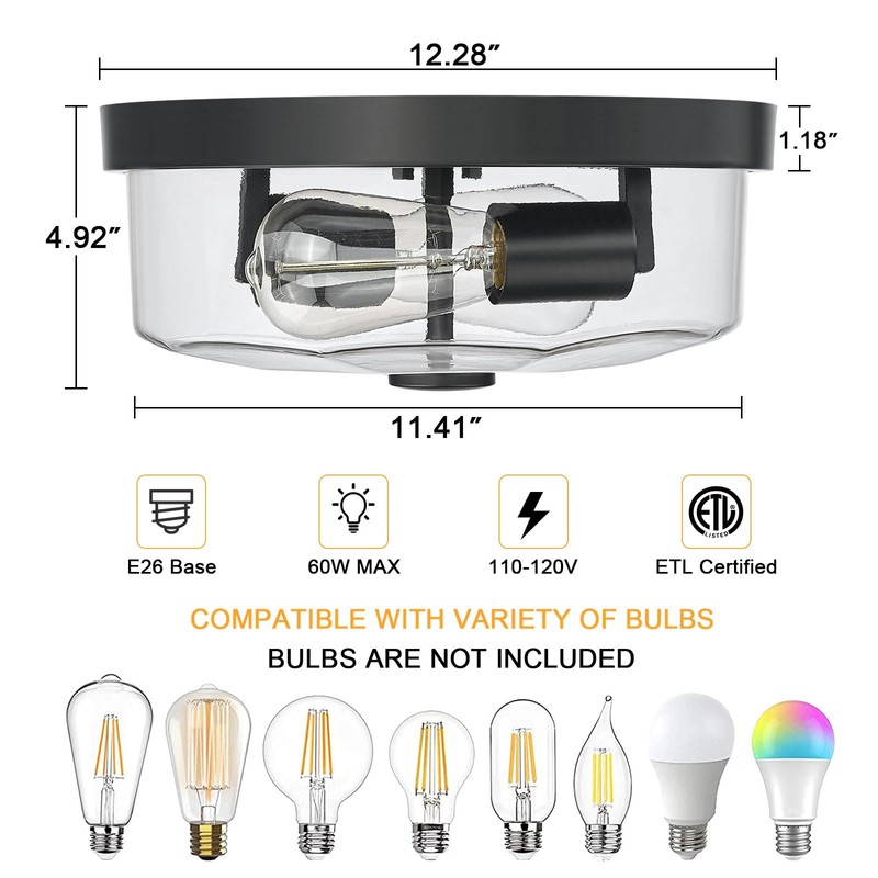 Luminzone Flush Mount Ceiling Light with Clear Glass Shade, 2-Light