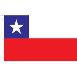 Allied Flag Outdoor Nylon Chile United Nation Flag, 4 by 6-Feet