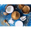 Food to Live Organic Brown Coconut Sugar, 10 Pounds –