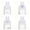 Skater TW92D-A Miffy Die Cut Sprinkle Seasoning Case, 7.8 fl