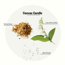 Apotheke Luxury Scented Candles for Home, Canvas - Aromatherapy Jar Candle with Soy Wax Blend