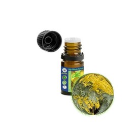 HIGH ALTITUDE NATURALS Mimosa Absolute Essential Oil (Acacia Dealbata) - Pure & Natural, Uncut, Undiluted - Therapeutic, Cosmetic, Aromatherapy, Perfumery - 5ml (1/6 oz)