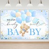 Mocsicka We Can Bearly Wait Backdrop Banner 6x3.6ft
