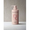 Shiseido Professional Hair Kitchen Red Mix Salon Treatment (For Commercial