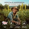 Gya Tea Co Mullein Leaf Herbal Tea Pod (16 ct)