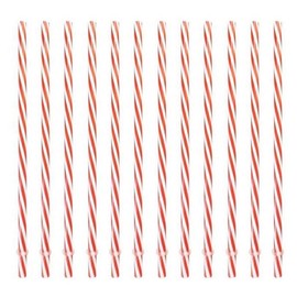 Sunshine Mason Co. Plastic Reusable Drinking Straws 12 Pieces, Red Stripe