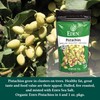 Eden Organic Pistachios, Shelled, Roasted, and Misted with Sea Salt,