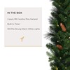 Papyrus 2 Pack of 9 ft Pre-Lit Carolina Pine Garland,