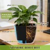 SIBAO 6 Pcs Self Watering Pots with Water Level Indicator,