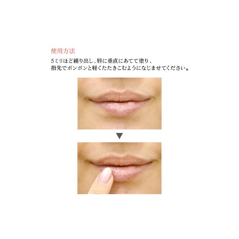 かづきれいこ パワーオブメイクアップ リップコンシーラー リップ用下地 リップベース REIKO KAZKI