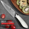 MAD SHARK 5 Inch Ultra Sharp Fruit Knife, Damascus Steel,
