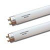 Flyercatch F15T8-D Daylight 15W Fluorescent Bulb,18'' F15T8/DL 6500K Bright White