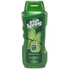 Irish Spring Body Wash, Original, 18 Fl Oz (Pack of