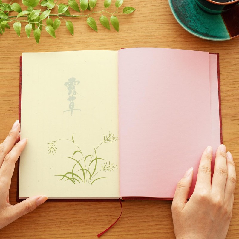 Apica A5 D202 Diary, 1 Year Free Diary, Vertical, No