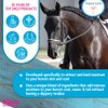 EQyss Premier Equine Horse Spray - Moisturizes Skin and Coat,