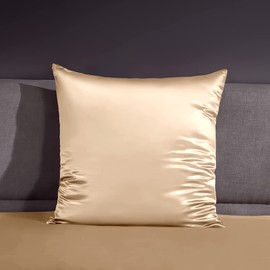 THXSILK 22 Momme Silk Pillowcase, 100% Silk Pillowcase Sofa Cushion Cover Pram, Anti Mite Zip Silk Pillowcase, Champagne, 80 x 80 cm