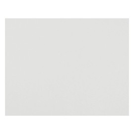 Pacon® Peacock® Railroad Board, 22" x 28", 4-Ply, White, Carton of 100 Sheets