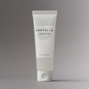 skin1004 Madagascar Centella Tone Brightening Cleansing Gel Foam 125ml /