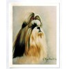 Ruth Maystead Shih Tzu Head Study Notecard Set 12 Note