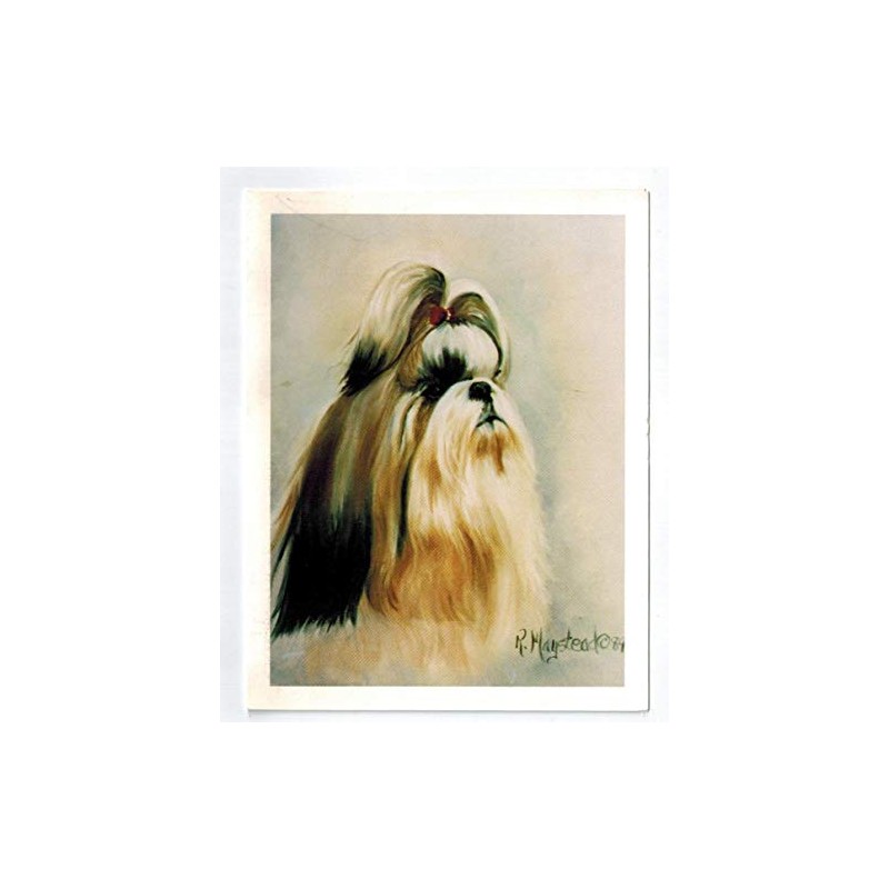 Ruth Maystead Shih Tzu Head Study Notecard Set 12 Note