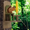 Uncle Dunkels’ Chair Squirrel Feeder, Handmade Wood Table and Chair