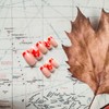 Fall Press on Nails Square Fake Nails Maple Leaf French