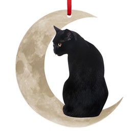 Cat Lover Ornaments, Christmas, Cat Lover Gifts for Women, Black Cat Decor - Christmas Tree Decorations, Cat Decorations Gift for Women - Christmas Tree Decoration Acrylic Ornament