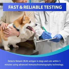 vivometra Dog Cat Pregnancy Test kit at Home – 2 Tests/Pack Canine & Feline Pregnancy Screening Kit Relaxin Test Kit