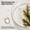 PICOPICO Estática Gel Transparente de Cejas Acabado Peinado