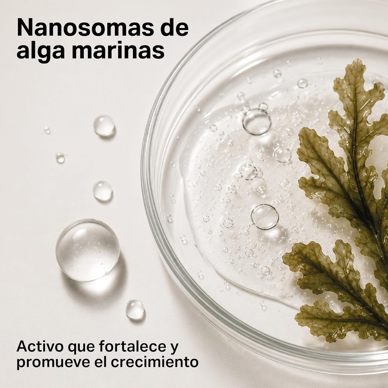 PICOPICO Estática Gel Transparente de Cejas Acabado Peinado