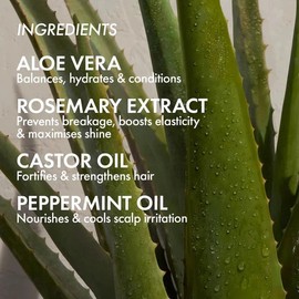 Bondi Boost Elixir Oil 100ml