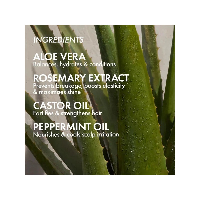 Bondi Boost Elixir Oil 100ml