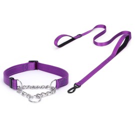 haoyueer Martingale Dog Collar, Stainless Steel Chain, Martingale Collar with Reflective, Adjustable for Medium Large Dogs (Purple Set, S)