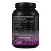 Aminoácidos Bcaas + Glutamina Fast 1kg Varios Sabores Mora Azul