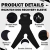 ROZKITCH Dog Pants to Prevent Licking for Rear Right Left