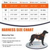 Escape Proof Dog Harness Medium Sized Dog, Six-Point Adjustable Service