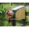 Wooden Squirrel Feeder