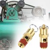 QWORK Brass Pressure Relief Valve (2 Pack) - 1/4 Inch
