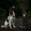 Orbiloc Dual Flashing/Solid Safety LED Light for Dogs - High
