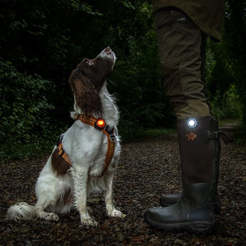 Orbiloc Dual Flashing/Solid Safety LED Light for Dogs - High