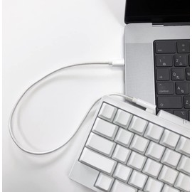 Bird Electronics HHKB Connection Type C Cable (White) 16"