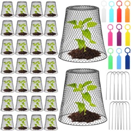Geosar 30 Pcs 9 inch Chicken Wire Cloche Plant Protector Cover Metal Garden Cloche Dome for Plants Chicken Wire Protection Basket with Garden Stakes for Avoiding Rabbit Bird Small Animals Eat (Black)