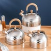 3L Tea Kettle Whistling Tea Kettle Stainless Steel Teapot with