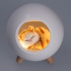 LED Night Light USB Charging Cute Pet House Touch Dimming