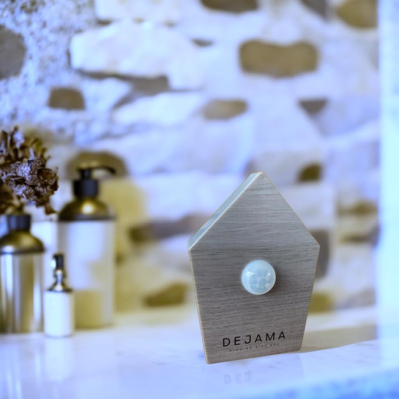 Singing Bird Box Dejama Ambient Noise Birds Chirping Songs Zwitscher