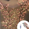 BomKra Cherry Blossoms Willow Vine Wall Decoration - 160 cm