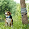 Joytale Long Dog Training Leash, 15 FT Tie Out Rope