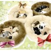 moin moin Figure Magnet, Dog, Dog, Fluffy, Bed, Realistic, Realistic